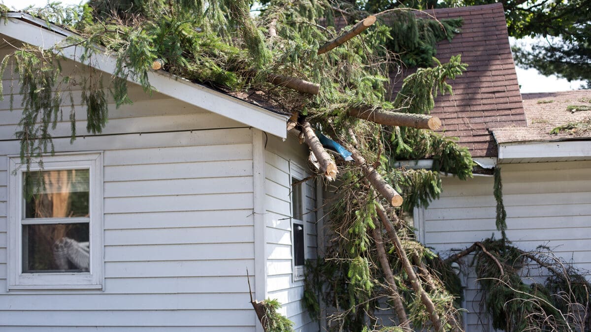 Storm damage to residential roof after tree fall