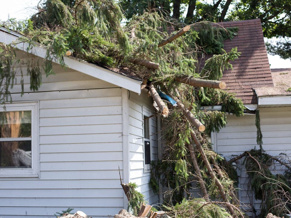 Storm damage to residential roof after tree fall